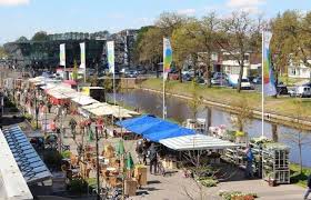 11223552_671128199684574_286137779873423338_n